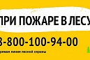 Берегите лес от пожара Берегите лес от пожара