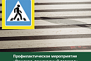 В Томском районе пройдет профилактическое мероприятие «ПЕШЕХОД»